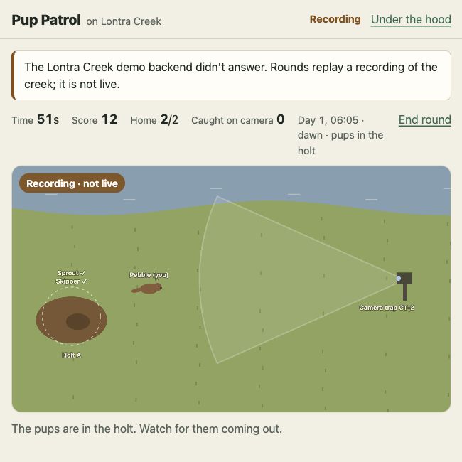 Pup Patrol’s local build with its score, timer, otter field, and camera trap. The game is explicitly labeled Recording, not live.